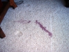 Wine spill Regan (2)