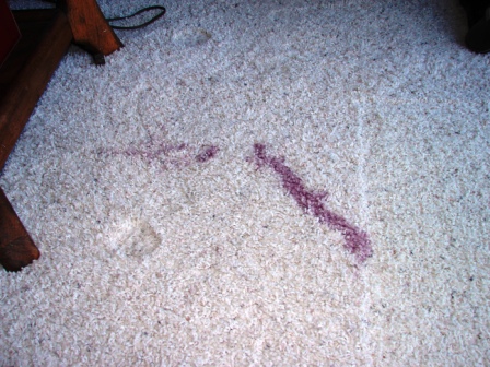 Wine spill Regan (2)